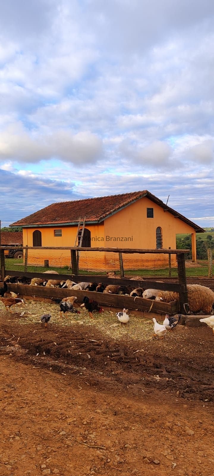 🌾🚜 EXCELENTE FAZENDA À VENDA EM SÃO MIGUEL ARCANJO