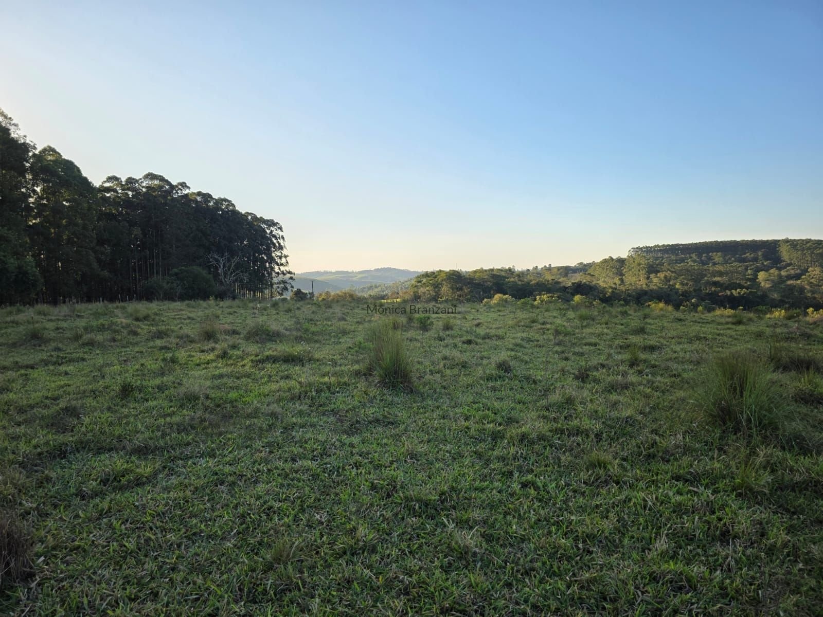 EXCELENTE OPORTUNIDADE DE SÍTIO À VENDA NA REGIÃO DE ITAPETININGA/SP – SÃO MIGUEL ARCANJO