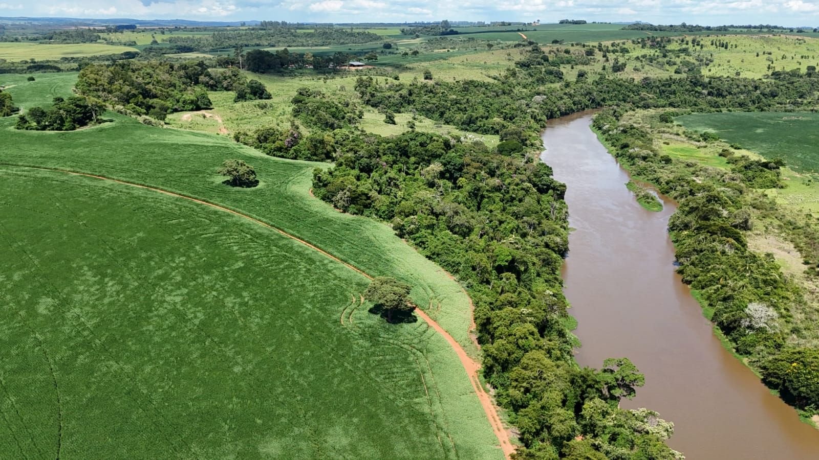 EXCELENTE FAZENDA PRODUTORA DE GRÃOS NA REGIÃO DE PARANAPANEMA-SP